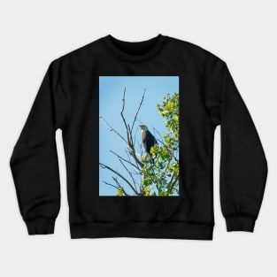 Bald Eagle Crewneck Sweatshirt